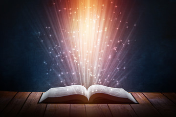 哈佛h9新款/哈弗h9新款2025新款版