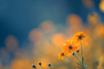 金价格(金价格查询走势图)