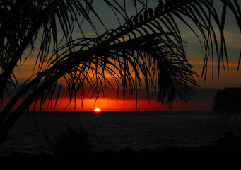 达伦德农场/达伦里德