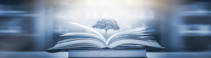 大货车型号/大货车型号区分