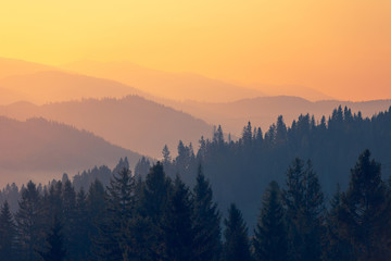 凤凰古城疫情(凤凰古城疫情实时动态)