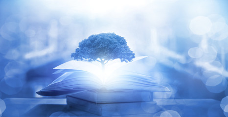 【冬奥会2022年几月几号开幕式,冬奥会2022年开幕时间】