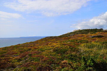 【西安疫情传播风险高,西安疫情风险区域划分】