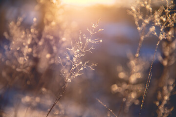 刹车响声刺耳解决方法(刹车响声刺耳解决方法视频)