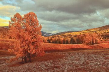 宁波最新疫情通报/宁波疫情最新新增病例