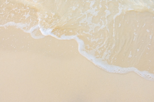 【济南山大录取分数线,山大分校录取分数线】