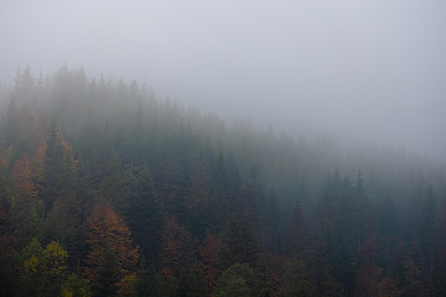 北京确诊人数(北京确诊新冠肺炎人数)