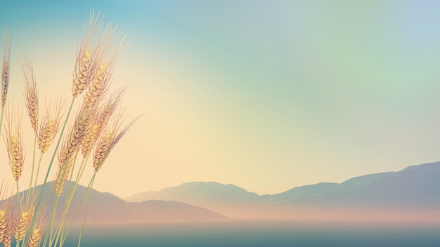 北京丰台新增1例境外输入(北京丰台新增2例)