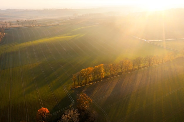 奥迪s5新款(奥迪s5新款价格2024款多少钱一辆)
