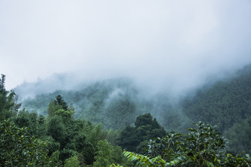【成都疫情防控,成都疫情防控办电话】